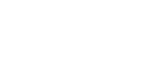 Playtech Logo