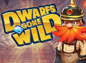 Dwarfs Gone Wild - Video Slot (Quickspin)