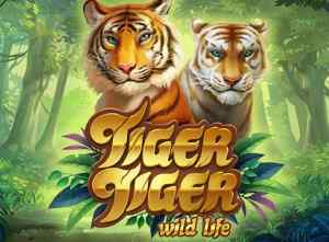 Tiger Tiger - Video Slot (Yggdrasil)